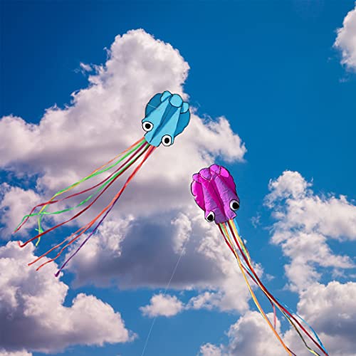 9KM DWLIFE Kite Octopus Large Rainbow Mollusc Flying Kite for Kids and Adults with Long Colorful Tail and Kite String Outdoor Toys Beach Trip Toys(Blue & Purple)