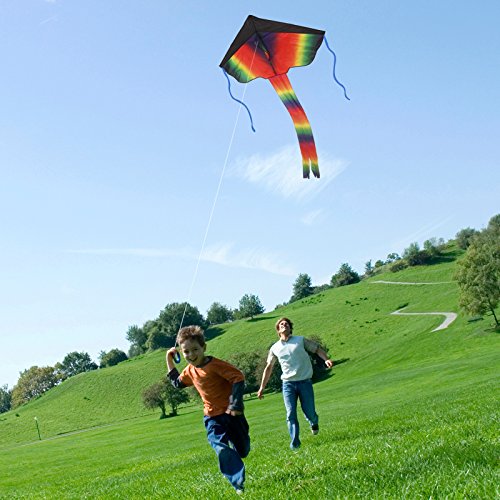 ZoomSky 2 Pack Kites - Large Rainbow Delta Kite and Red Mollusc Octopus with Long Colorful Tail for Children Outdoor Game,Activities,Beach Trip