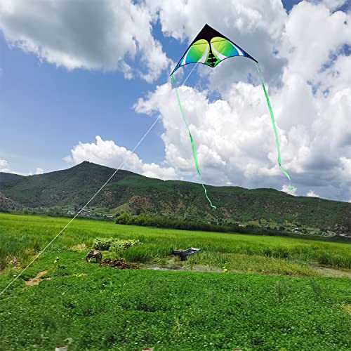 HONBO Large Kites for Adults, Beginner Kite for Kids Easy to Fly, The Easiest Single Line Beach Kite, with 300ft String,Handle(Green)