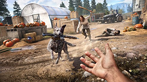 Far Cry 5 (Xbox One)