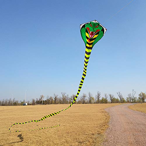 Mint's Colorful Life Large cobra kite with long tail for kids and adults, kite line and handle included, it will dominate the sky!