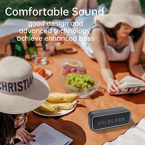 GOLDLARK Bluetooth Speaker 40W with 3D Theatre Surround Sound, IPX7 Waterproof, Extra Bass, TF Card Playback and Mic for Hands-free Phone Call.