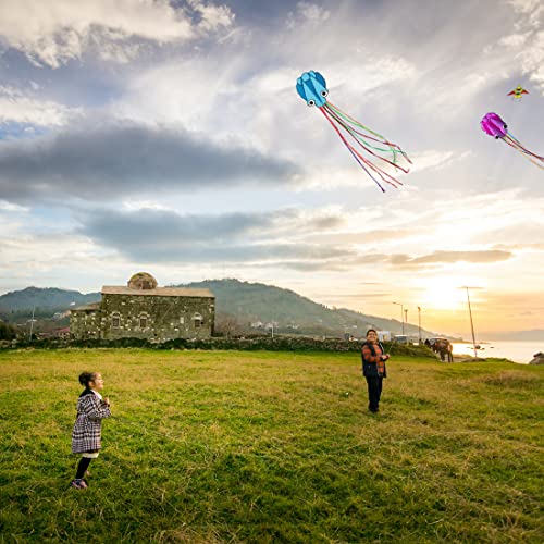 9KM DWLIFE Kite Octopus Large Rainbow Mollusc Flying Kite for Kids and Adults with Long Colorful Tail and Kite String Outdoor Toys Beach Trip Toys(Blue & Purple)