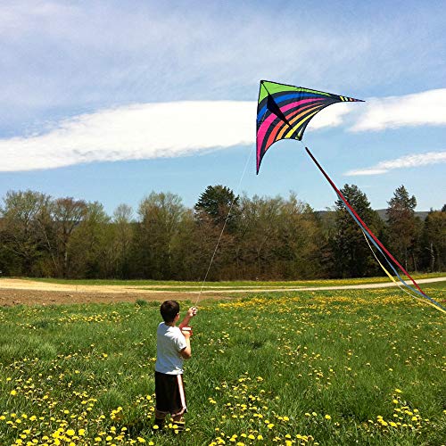 Mint's Colorful Life Delta Kite for Kids & Adults, Extremely Easy to Fly Kite with 3 Ribbons and 300ft Kite String, Best Kite for Beginner