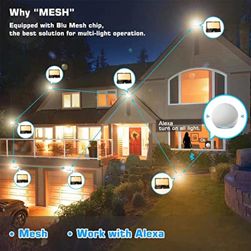 Flood Lights Outdoor With Alexa, Smart LED Floodlight Colour Changing 500W Equivalent 5000LM, Bluetooth APP Control, Warm White+1600 Million RGB Colours,No WiFi No Hub,IP66 Waterproof UK 3-Plug,2 Pack