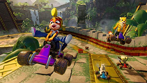 Crash™ Team Racing Nitro-Fueled (PS4)