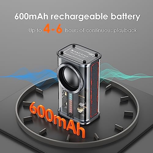 Portable Bluetooth Speaker with Lights Transparent Wireless Mini Speaker with TWS, Perfect Small Speaker HD Sound and Bass for Office, Home, Shower, Room, Bike, Car (Black)