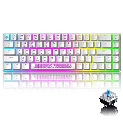 60% Mechanical Gaming Keyboard Type C Wired 68-Key LED Backlit USB Waterproof Keyboard 18 Chroma RGB Backlight Anti-ghosting Keys+Personalized Extra Keycaps for Gamers and Typists (White/Blue Switch)