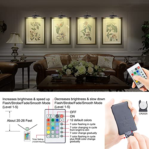 HONWELL LED Picture Light with Remote Control, Rechargeable LED Wall Lights with 12 Colors Changing,LED Display Lamp 13 Inches Rotatable Light Head for Painting Dartboard Frame Portrait Art, Black