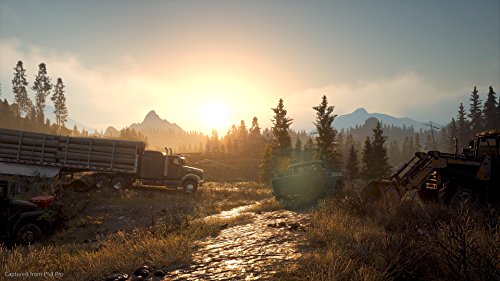 Days Gone for PlayStation 4