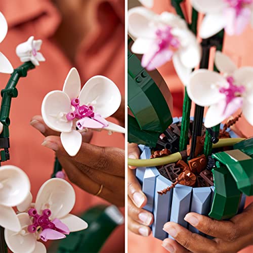 LEGO 10311 Icons Orchid Artificial Plant Building Set with Flowers, Home Décor Accessory for Adults, Botanical Collection, Gifts for Wife or Husband, Her and Him