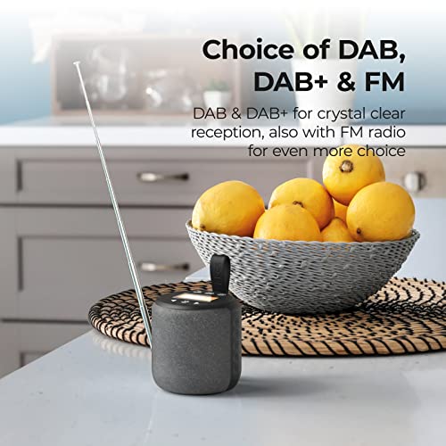 DAB Radio Portable, Bluetooth Speaker, DAB Plus/DAB Radio, FM Radio, Shower Speaker, IPX4 Splashproof Water Resistant, Type-C USB, 5W Stereo Speaker with Bluetooth 5.0, Rechargeable