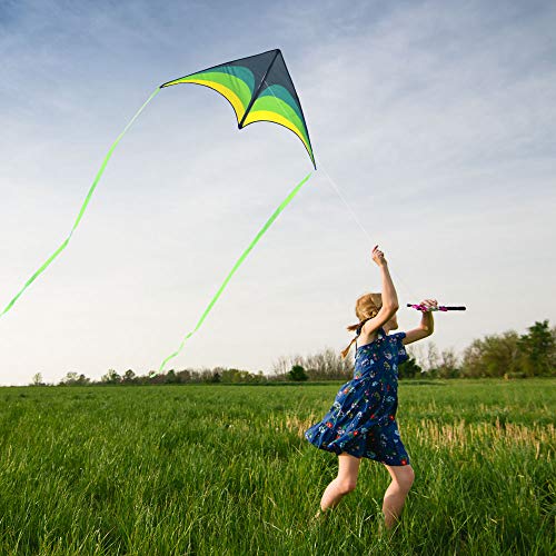 Mint's Colorful Life Delta Kite for Kids & Adults, Extremely Easy to Fly Kite, Best Kite for Beginner and Toddlers