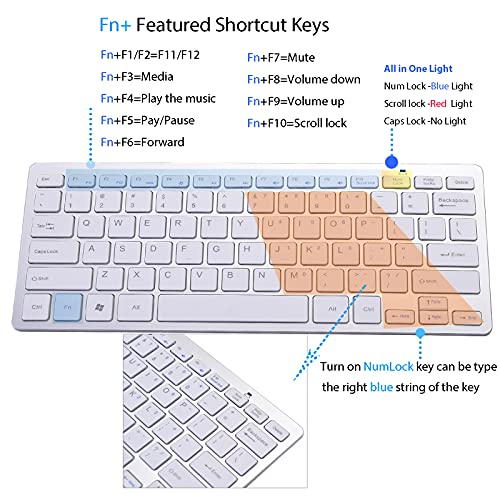 Powboro USB C Mini Keyboard Compact Small Slim Wired Keyboard USB-C Connection,Ultra Thin Design 78 Scissor Keys for Andriod, Computer, Laptop, PC,Desktop (White)