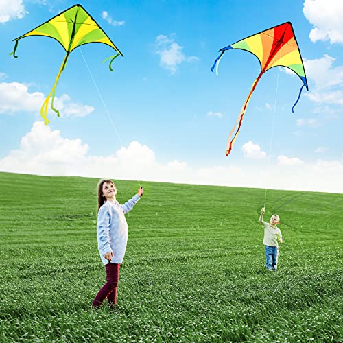 JOYIN 2 Packs Large Delta Kite Green and multicolor kite Easy to Fly Huge Kites for Kids and Adults with 262.5 ft Kite String, Large Delta Beach Kite for Outdoor Games and Activities