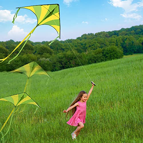 JOYIN 2 Packs Large Delta Kite Green and multicolor kite Easy to Fly Huge Kites for Kids and Adults with 262.5 ft Kite String, Large Delta Beach Kite for Outdoor Games and Activities