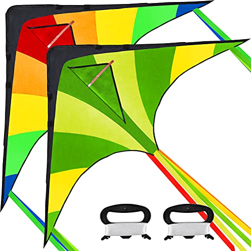 JOYIN 2 Packs Large Delta Kite Green and multicolor kite Easy to Fly Huge Kites for Kids and Adults with 262.5 ft Kite String, Large Delta Beach Kite for Outdoor Games and Activities