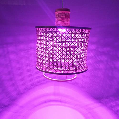 WiFi RGB Smart light, mood lighting Alexa compatible chandelier App Control Colour changing Modern Home living, dining and bed room Handcrafted cane weave ceiling decor