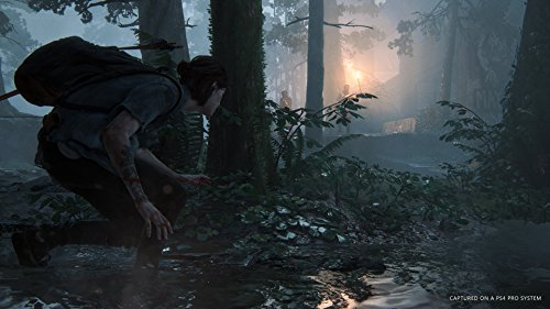 SONY INTERACTIVE ENTERTAINMENT THE LAST OF US PART II STANDARD PLAYSTATION 4