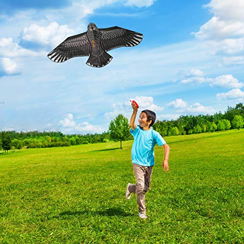 Large Eagle Bird Kite for Children & Adults - Huge Wingspan and Lifelike Design - Easy to Assemble & Fly - Superb Outdoor Toy - Makes a Great Gift or Stocking Filler