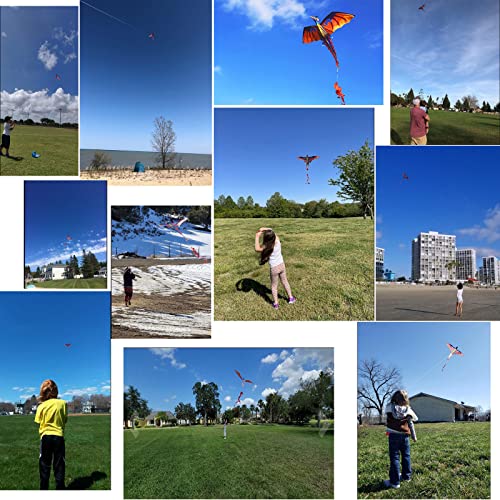 Touch the sky Huge Dragon Kite for Kids and Adults Easy to Fly-55inch x 62inch Single Line with Tail 90M String