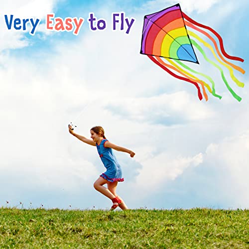 ECHOCUBE Huge Rainbow Diamond Kite for Kids & Adults, Easy to Fly Kite with 8 Long Tails and 100M Kite String, Great Outdoor Toy for Beach, Park and Family Time (73 * 65cm)