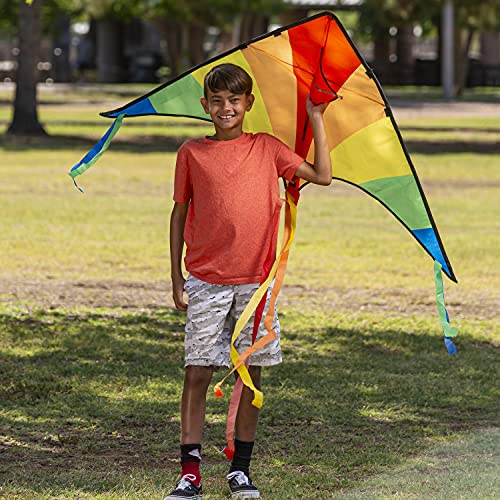 JOYIN 2 Packs Large Delta Kite Green and multicolor kite Easy to Fly Huge Kites for Kids and Adults with 262.5 ft Kite String, Large Delta Beach Kite for Outdoor Games and Activities