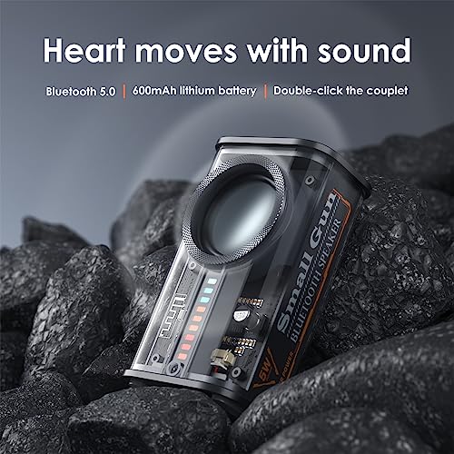 Portable Bluetooth Speaker with Lights Transparent Wireless Mini Speaker with TWS, Perfect Small Speaker HD Sound and Bass for Office, Home, Shower, Room, Bike, Car (Black)