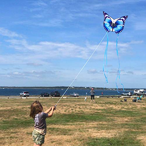 Mint's Colorful Life Butterfly Kite (Blue)