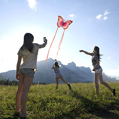 Mint's Colorful Life Butterfly Kite for Children and Adults (Pink)