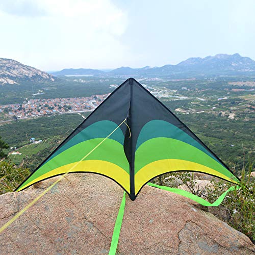 Mint's Colorful Life Delta Kite for Kids & Adults, Extremely Easy to Fly Kite, Best Kite for Beginner and Toddlers