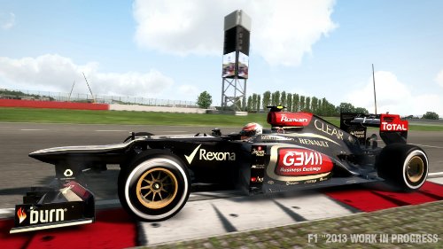 F1 2013 (PS3)