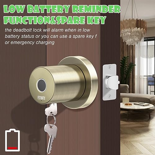 FITNATE Smart Lock Fingerprint Door Knob, Biometric Door Lock Fingerprint Key with App Control, Bluetooth Smart Deadbolt, Touch to Digital Door Lock for Bedroom,Home,Hotel,Office, Bronze Golden