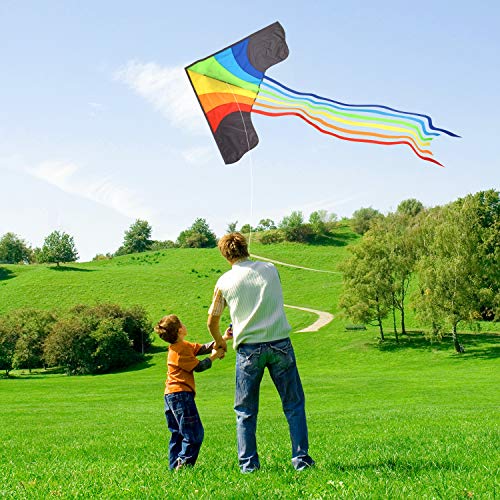 Original Rainbow Kite For Children And Adults - Very Easy To Fly Kite - Family Fun For All - Great Outdoor Toy For Beginners - Built To Last - Makes a Great Gift or Stocking Filler