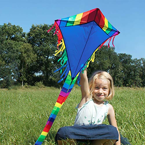 CIM Kite - Maya Eddy Blue - single line kite for children from the age of 3 years up - 65x72cm - incl. 80m kite line and 2x250cm striped tails