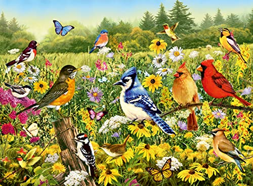 Ravensburger Birds in The Meadow 500 Piece Jigsaw Puzzle for Adults & Kids Age 10 Years Up