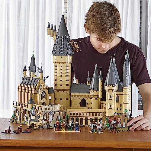 LEGO 71043 Harry Potter Hogwarts Castle Model, Big Collectable Set with the Great Hall, Sword of Gryffindor & Chamber of Secrets, Wizarding World Gift Idea for Fans