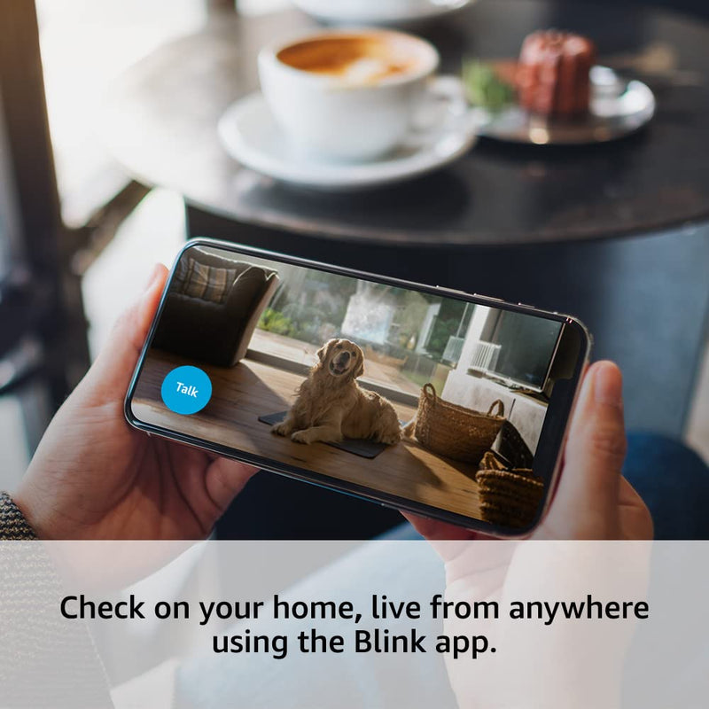 Blink Mini | Indoor plug-in pet security camera, 1080p HD day and night video, motion detection, two-way audio, easy setup, Alexa enabled, Blink Subscription Plan Free Trial — 2 cameras (Black)