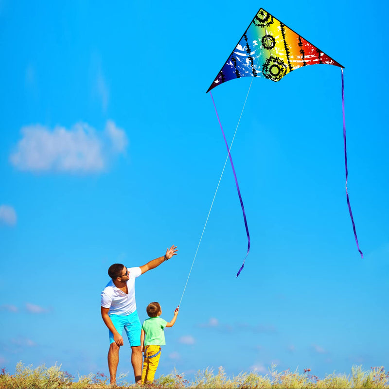 HONBO Kites for children,Huge Kites for Adults, Beginner Kite for Kids Easy to Fly, The Easiest Single Line Beach Kite, with 300ft String Kite Handle (SKY EYE)