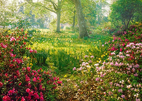 Ravensburger Springtime Garden 1000 Piece Jigsaw Puzzles for Adults & Kids Age 14 Years Up - Landscape Puzzle, Amazon Exclusive