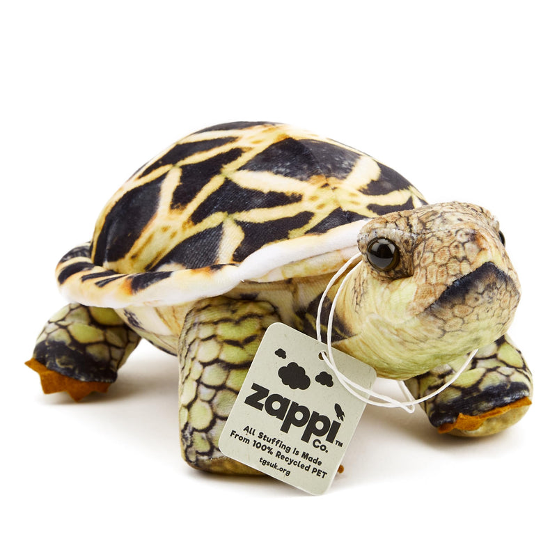 Zappi Co - Children's Realistic Soft Cuddly Plush Toy Animal - Perfect Playtime Companions for Children with Lifelike Detail featured Tiktok (26cm Length) (Indian Star Tortoise)