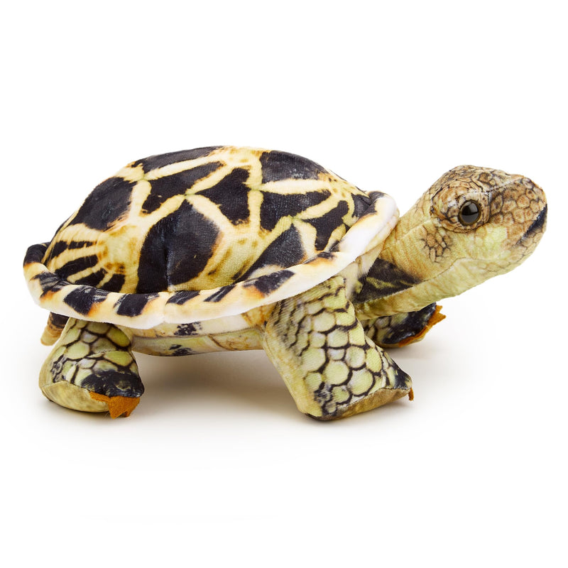 Zappi Co - Children's Realistic Soft Cuddly Plush Toy Animal - Perfect Playtime Companions for Children with Lifelike Detail featured Tiktok (26cm Length) (Indian Star Tortoise)