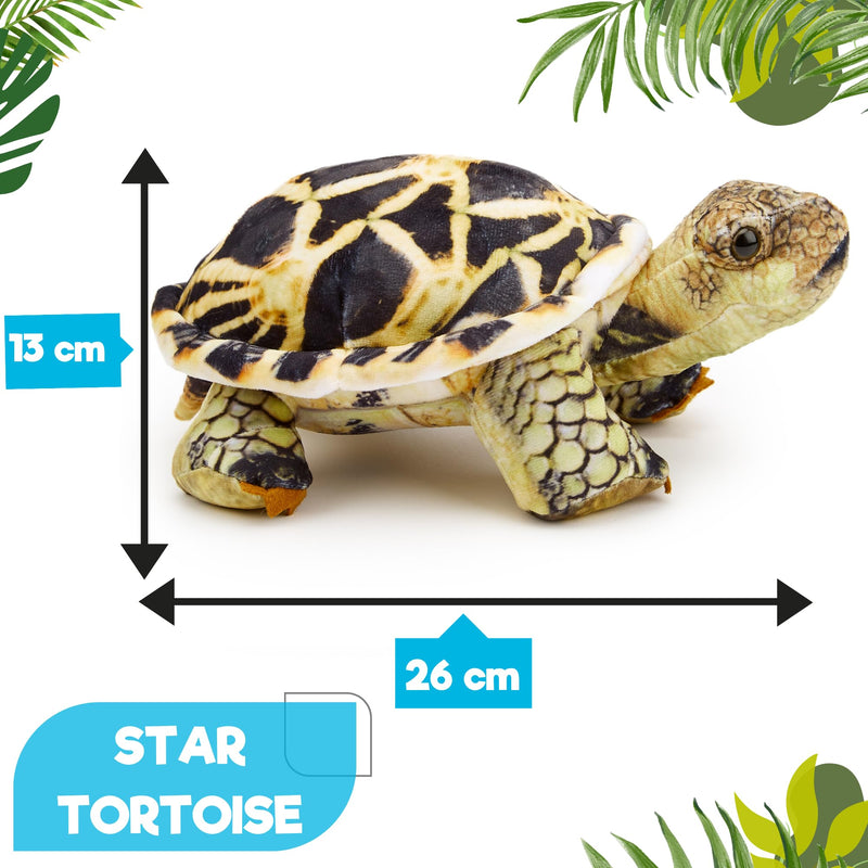 Zappi Co - Children's Realistic Soft Cuddly Plush Toy Animal - Perfect Playtime Companions for Children with Lifelike Detail featured Tiktok (26cm Length) (Indian Star Tortoise)